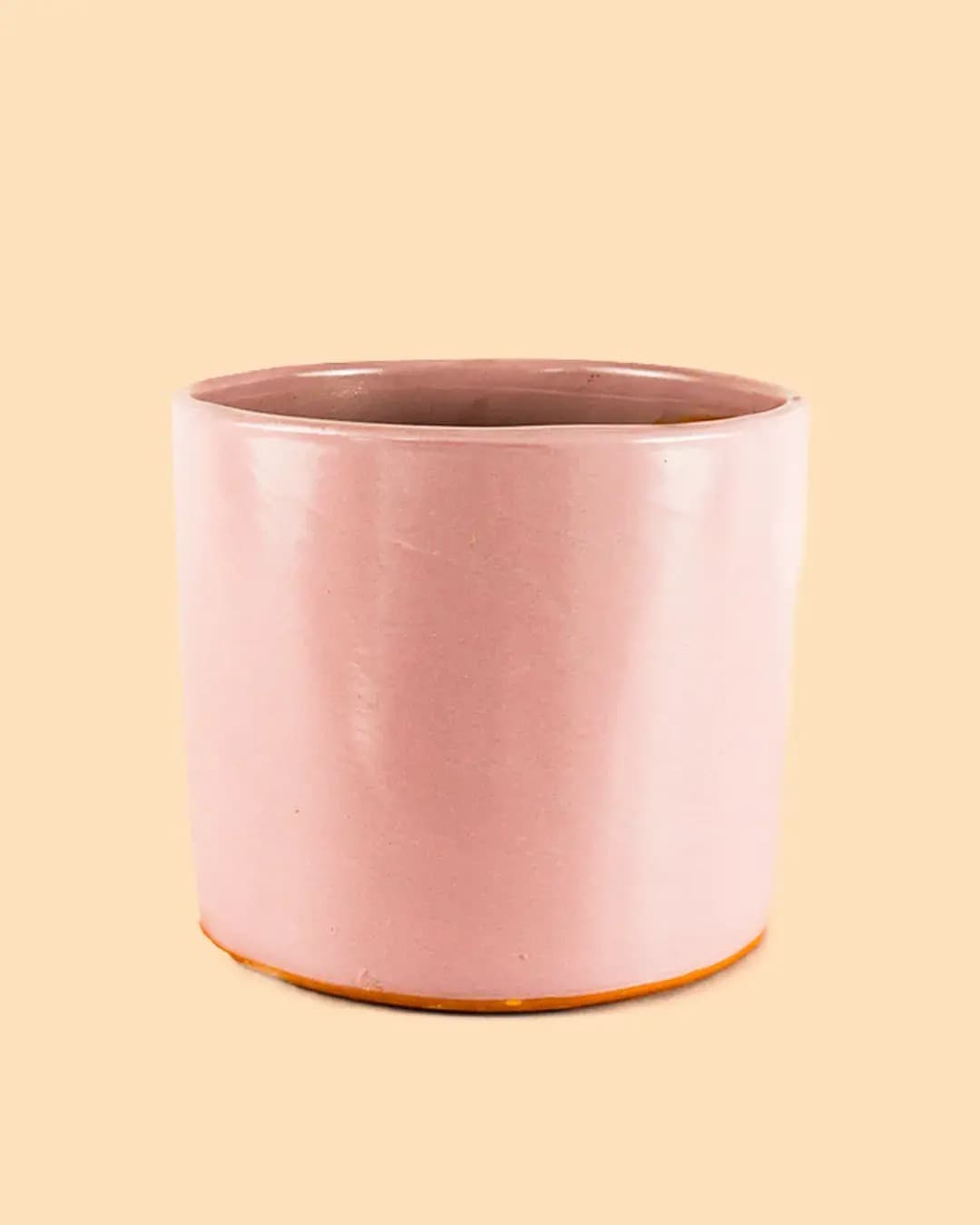 Maceta Rosa L – 19 cm - Pur Plant