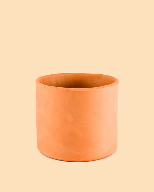 Maceta Terracota M – 15 cm - Pur Plant
