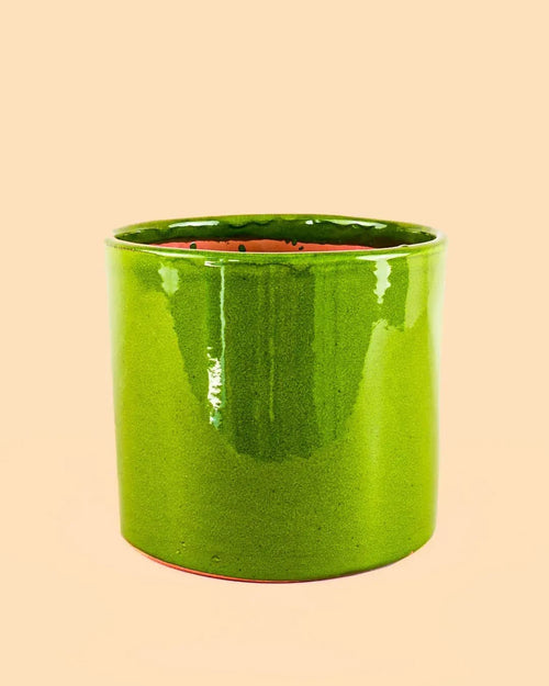 Maceta Verde L – 19 cm - Pur Plant