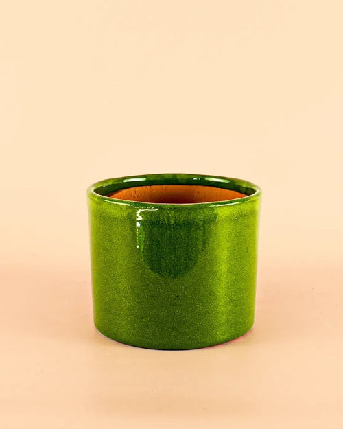 Maceta Verde M – 15 cm - Pur Plant