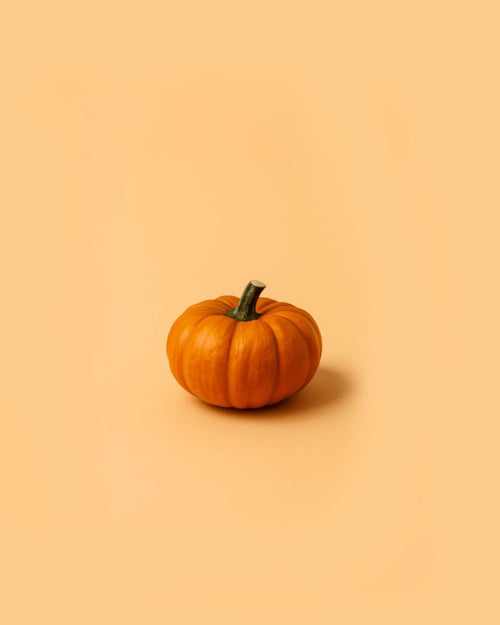 Mini Calabaza Jack - Pur Plant
