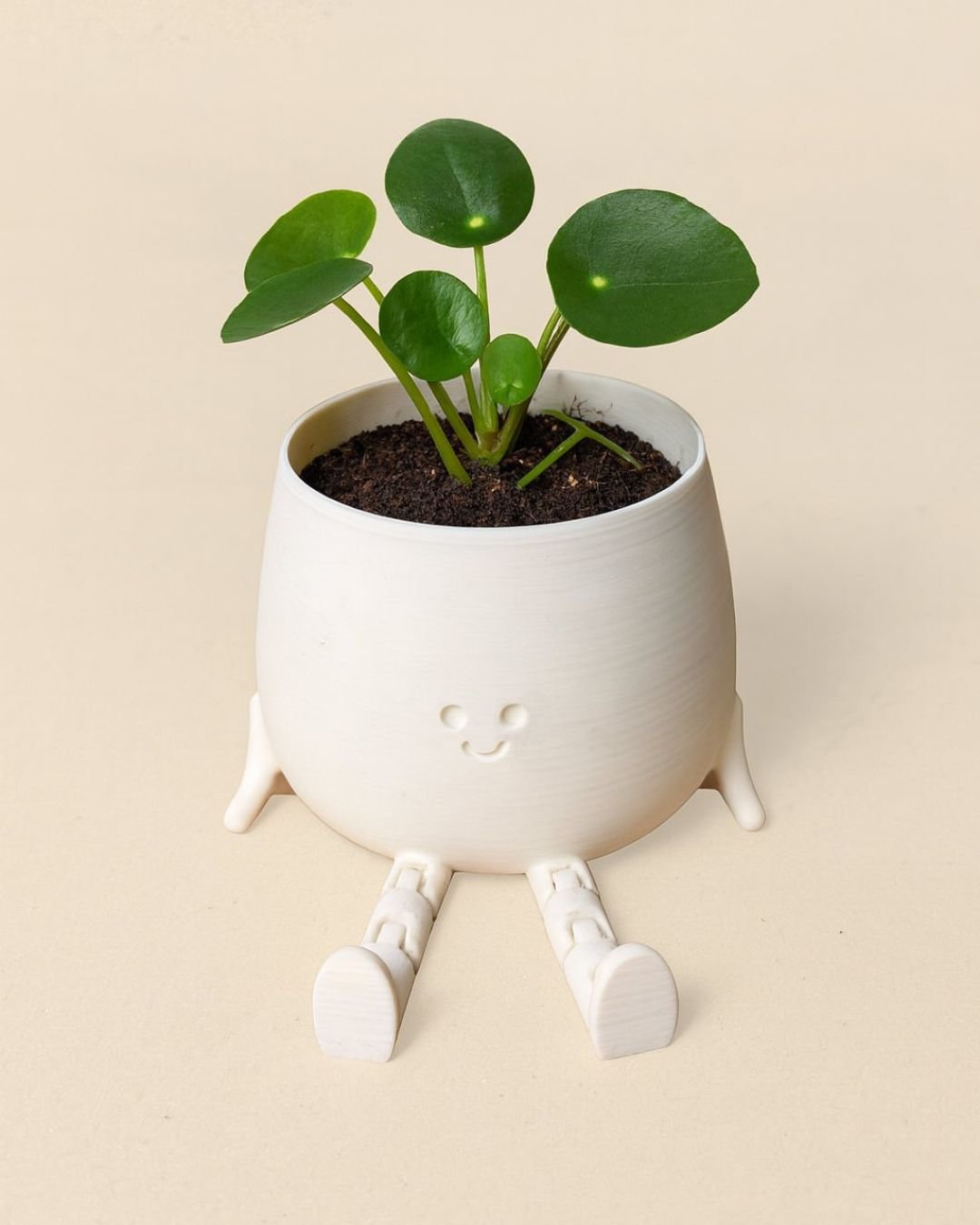 Mini Happy Pot Blanca – 6 cm - Pur Plant