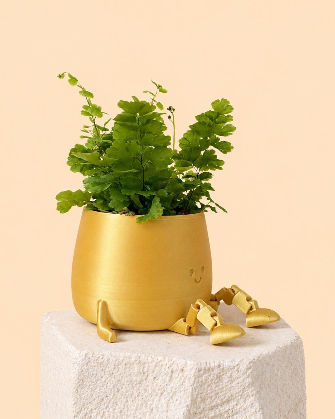 Mini Happy Pot Dorada – 6 cm - Pur Plant