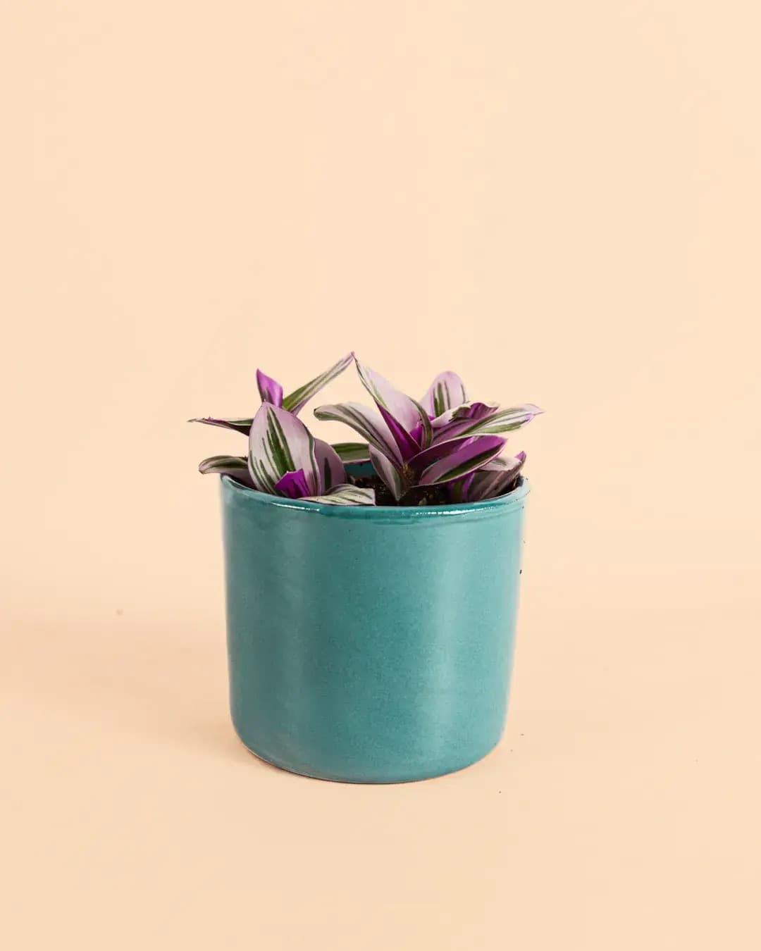 Mini Maceta Aguamarina S – 9 cm - Pur Plant