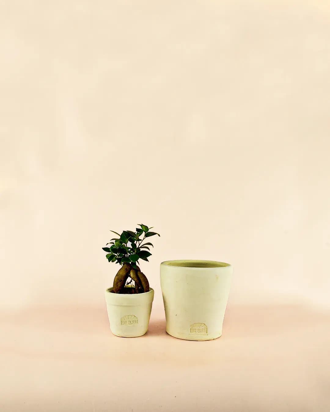 Mini Maceta Artesanal Blanca - Pur Plant