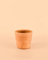 Mini Vaso Artesanal Pur Plant – 9 cm