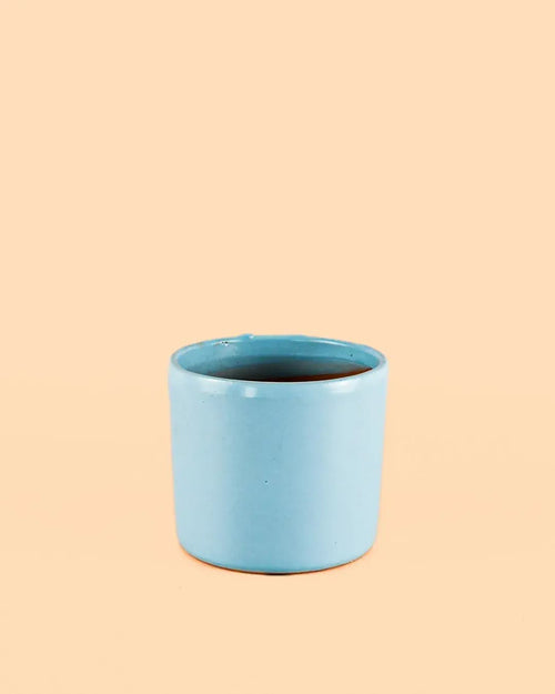 Mini Maceta Azul Celeste S – 9 cm - Pur Plant