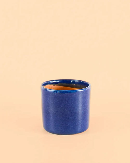 Mini Maceta Terracota Azul Marino - Pur Plant