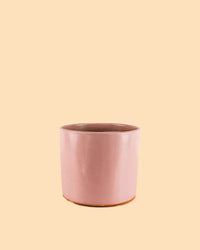 Mini Vaso Terracota Rosa S - 9 cm