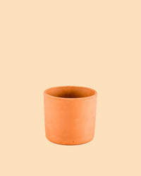 Mini Vaso Terracota S – 9 cm