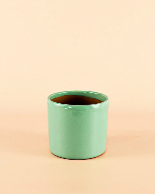 Mini Maceta Terracota Turquesa - Pur Plant