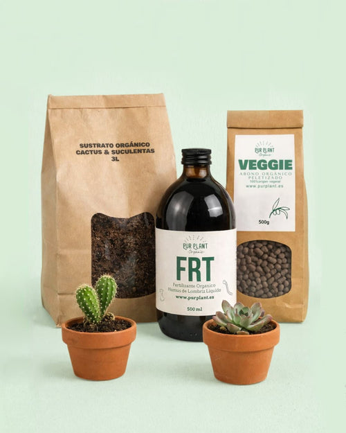 nutrition-box-cactus-y-suculentas