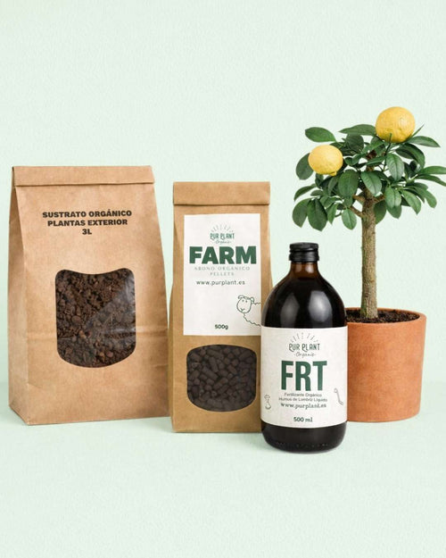 nutrition-plant-outdoor-box-2