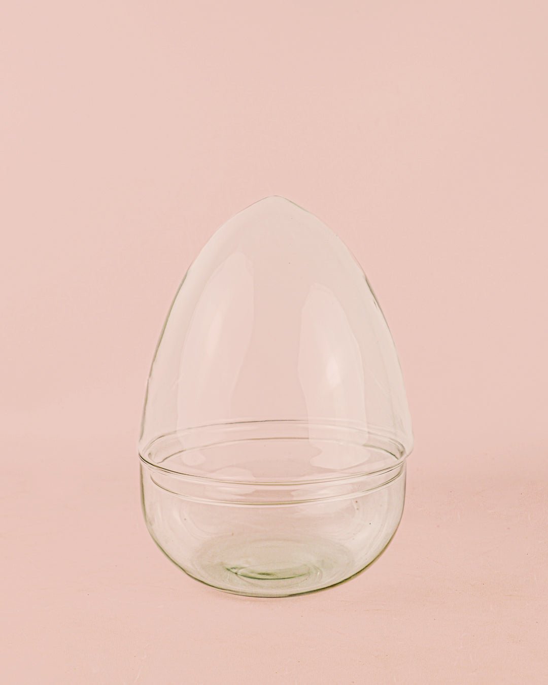 Ovo Terrario Bol 20×27 cm - Pur Plant