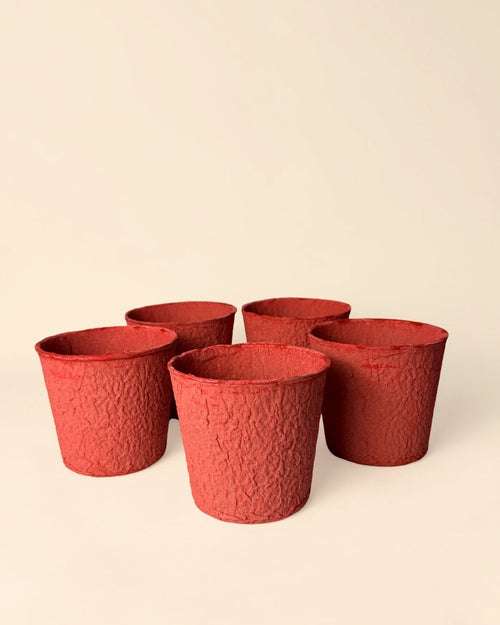 Pack 5x macetas biodegradable rojo 9 cm - Pur Plant