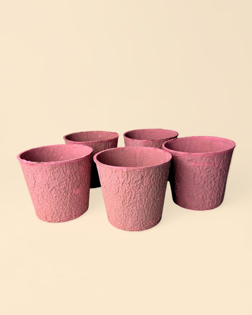 Pack 5x macetas biodegradable rosa 9 cm - Pur Plant