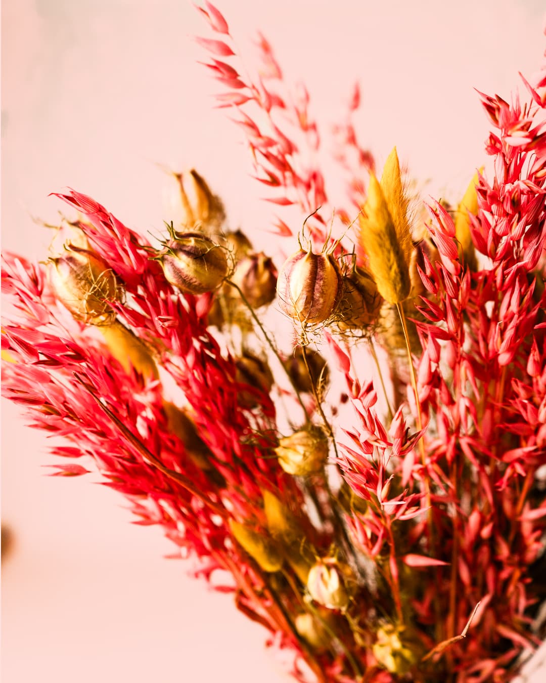 Phoenix – Ramo de Flores Secas - Pur Plant