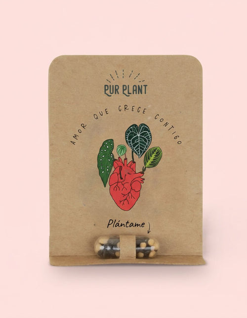 Plant Pill – Cápsula de Semillas Flores Silvestres - Pur Plant