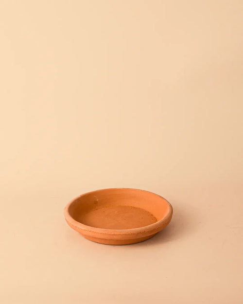 Plato de Maceta Terracota 14cm - Pur Plant