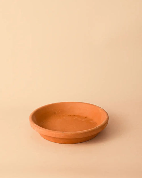 Plato de Maceta Terracota 18cm - Pur Plant