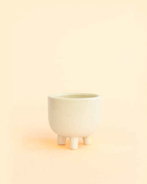 Potit – Mini Maceta Cerámica Beige 6 cm - Pur Plant