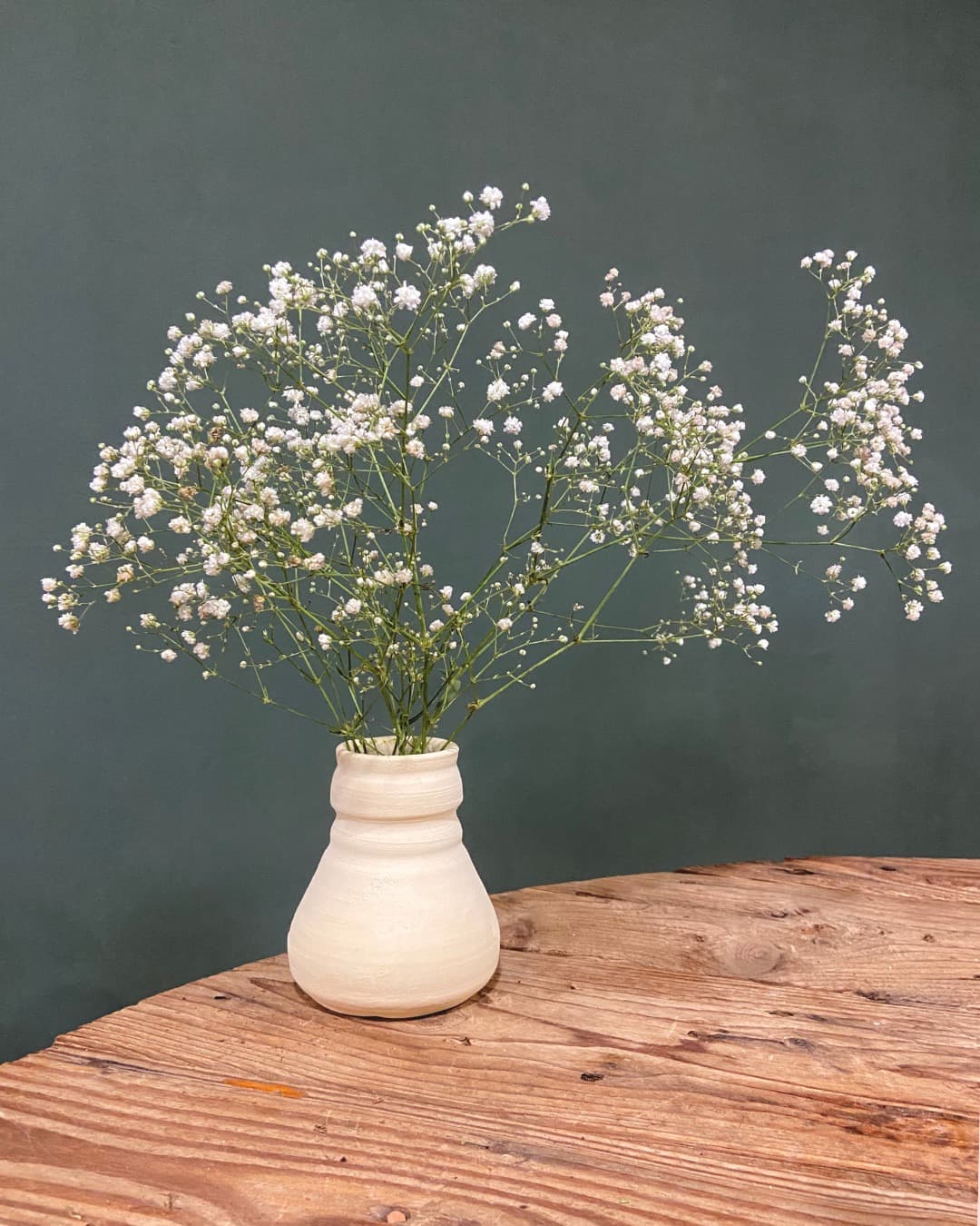Ramillete de Paniculata Natural - Pur Plant