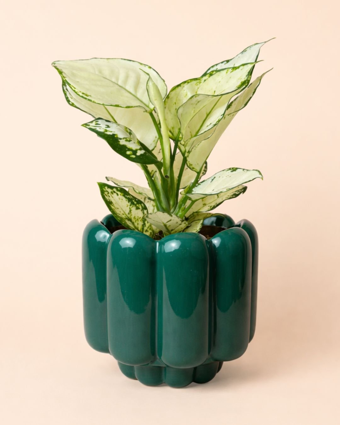 Retro – Maceta Cerámica Esmeralda M 11 cm - Pur Plant