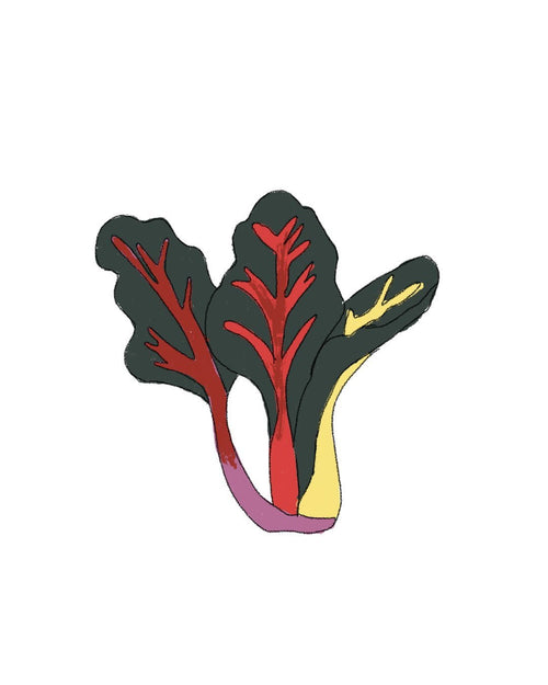 Semillas de Acelga Multicolor - Pur Plant