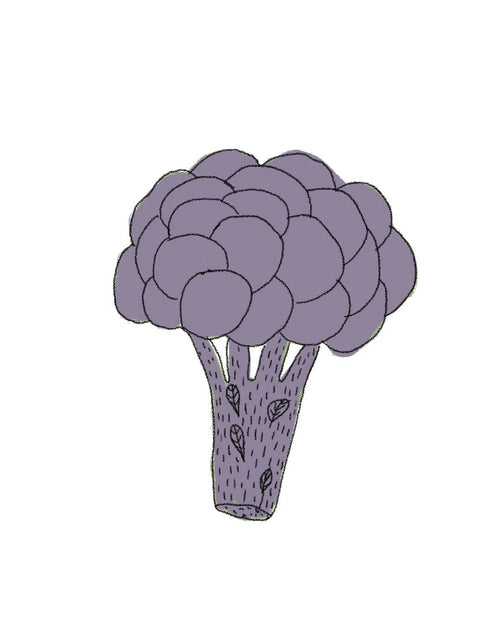 Semillas de Brócoli Early Purple - Pur Plant