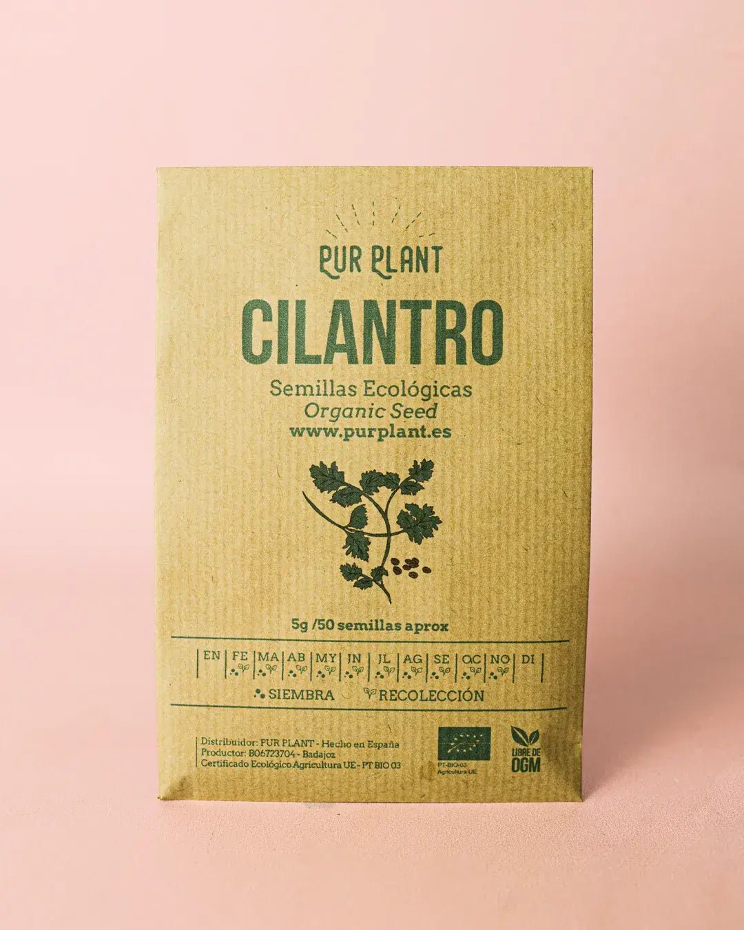 Semillas de Cilantro - Pur Plant