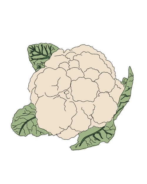 Semillas de Coliflor «Bola de nieve» - Pur Plant