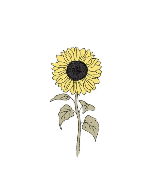Semillas de Girasol Gigante - Pur Plant