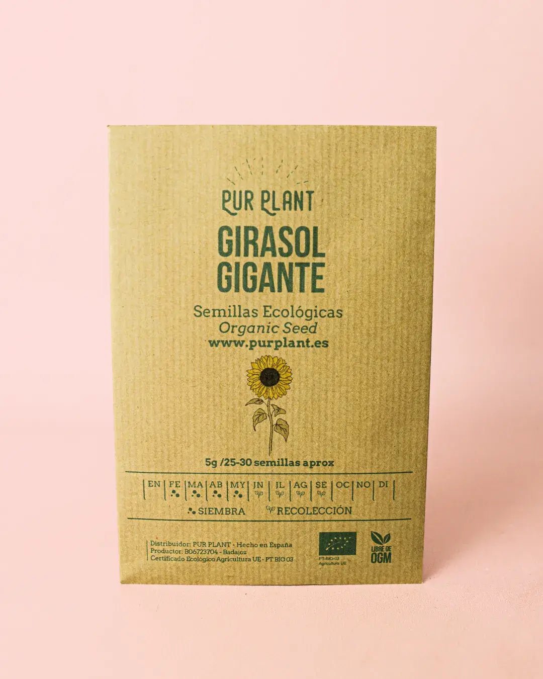 Semillas de Girasol Gigante - Pur Plant