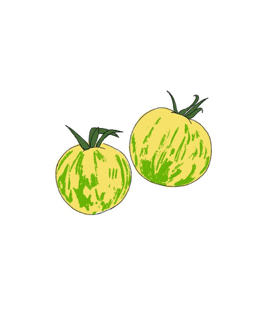 Semillas de Tomate Green Zebra - Pur Plant