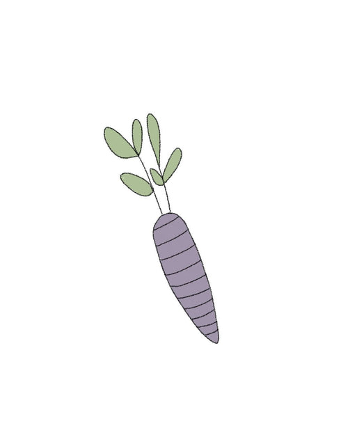Semillas de Zanahoria Morada - Pur Plant
