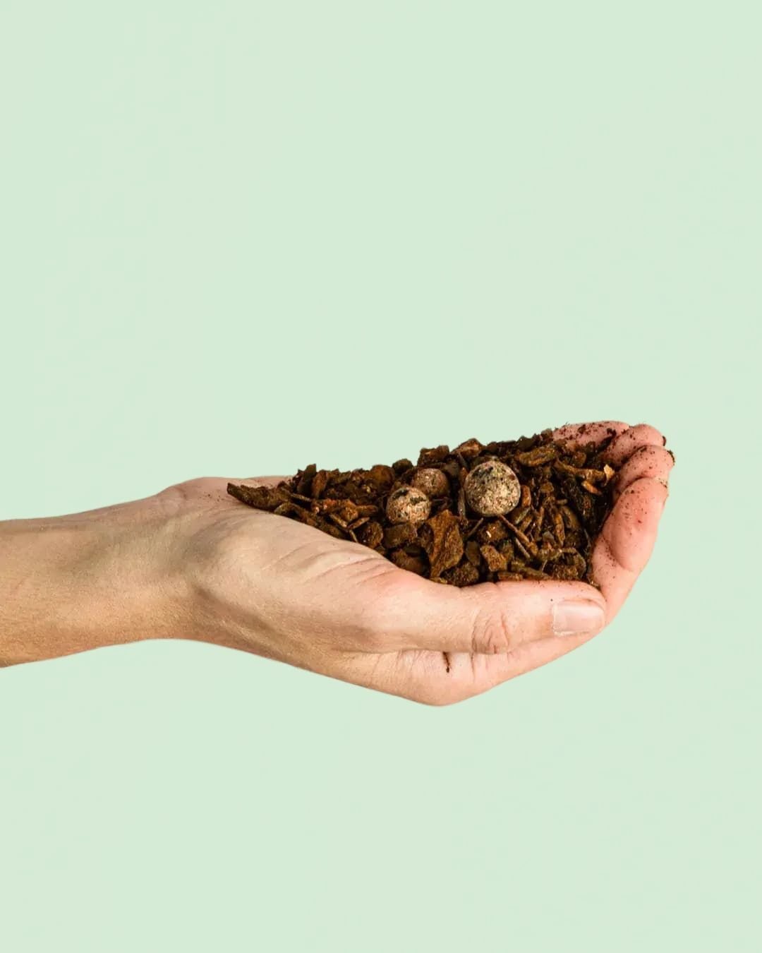 Sustrato Orgánico para Orquídeas 3L - Pur Plant