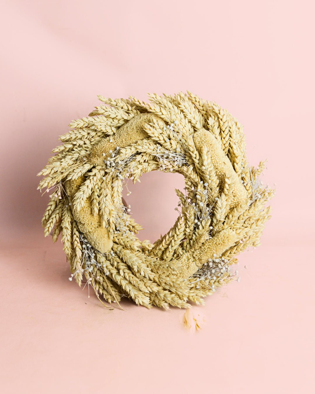 Toscana – Corona Blanca - Pur Plant