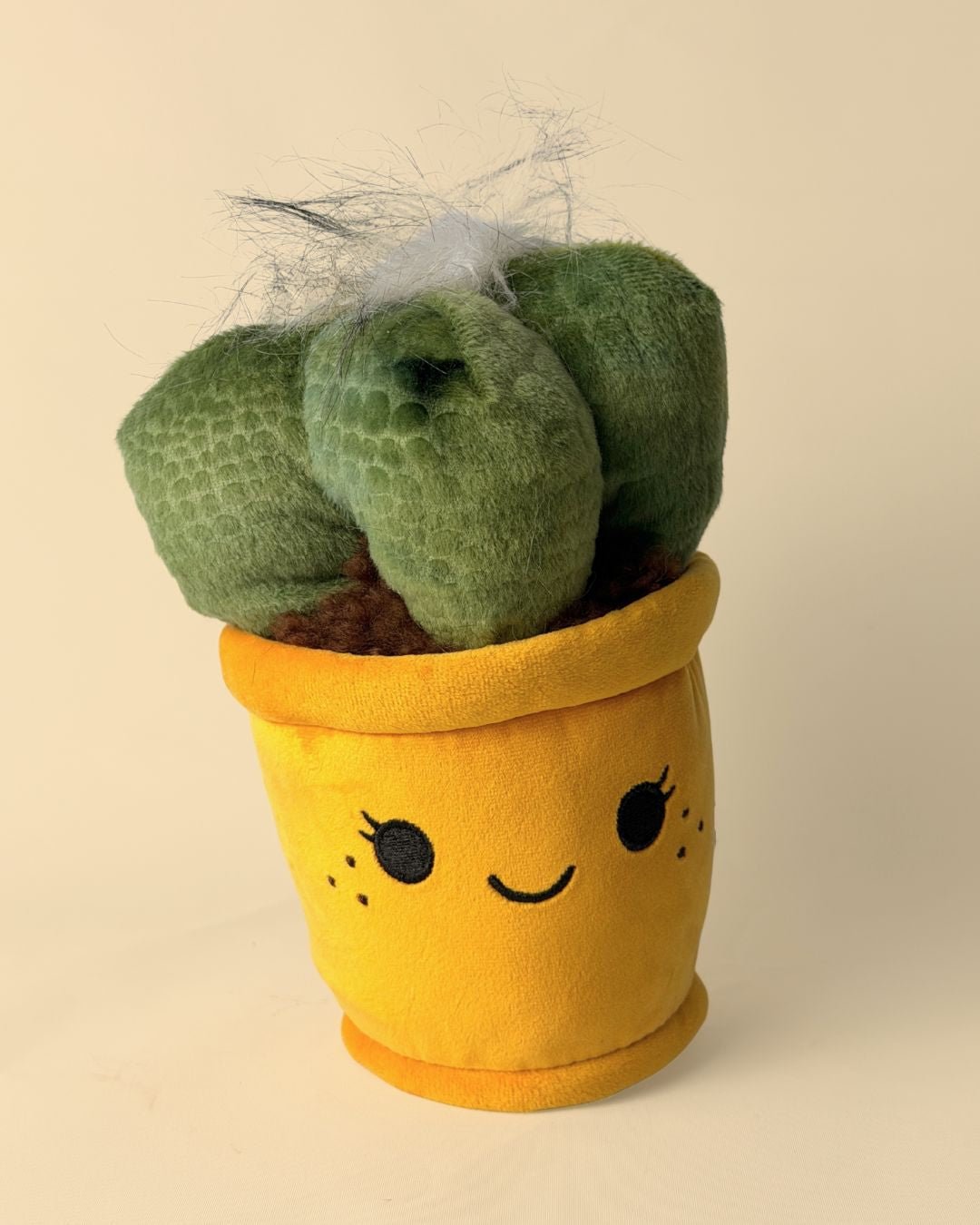 Toy Plant – Cactus - Pur Plant