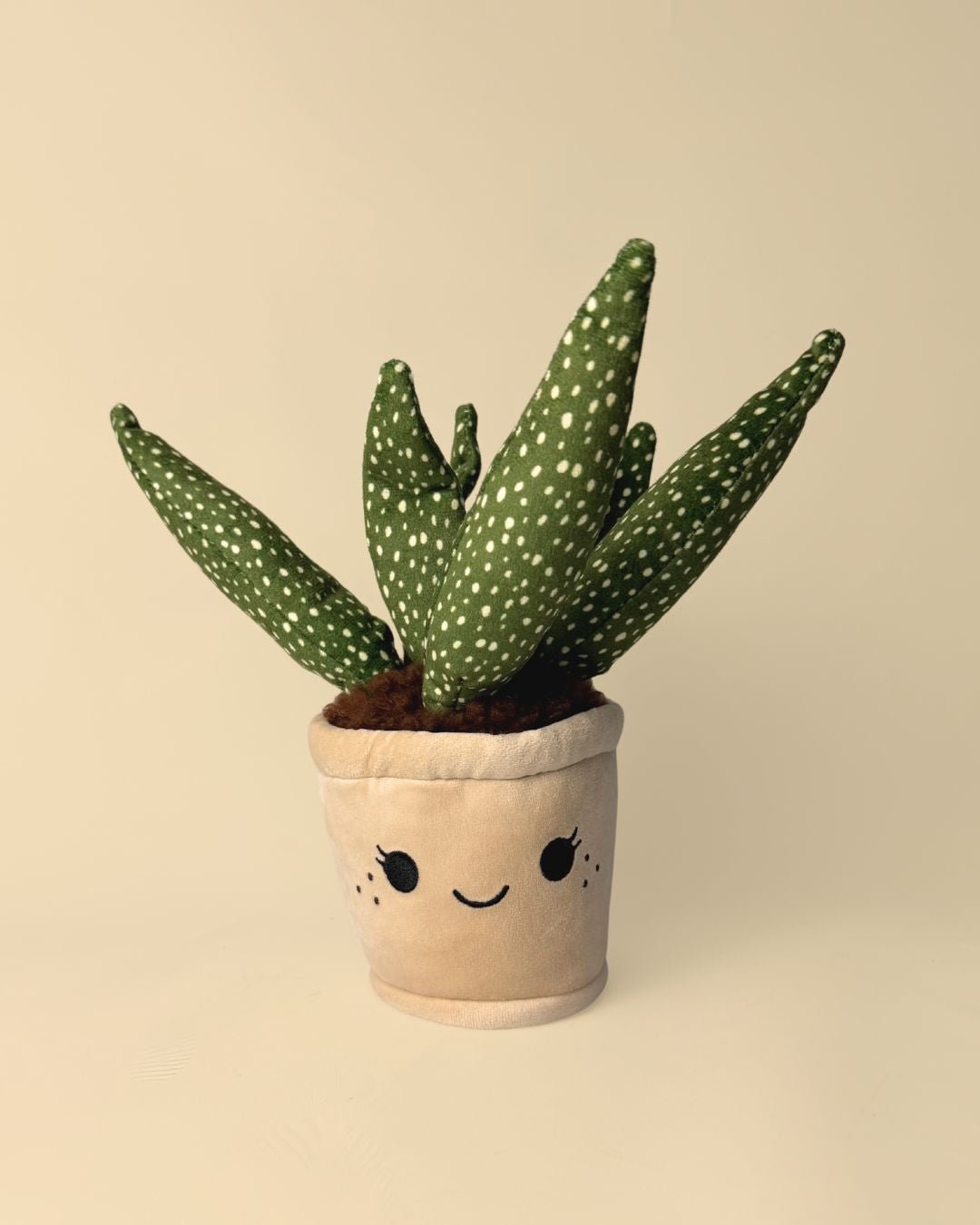 Toy Plant – Sansevieria - Pur Plant
