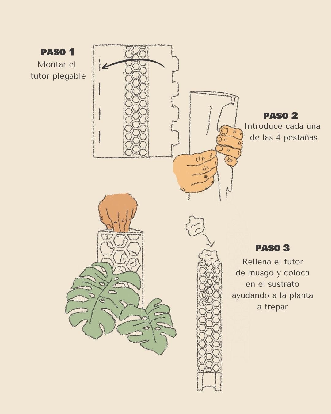 Tutor de Musgo Transparente 35 cm - Pur Plant