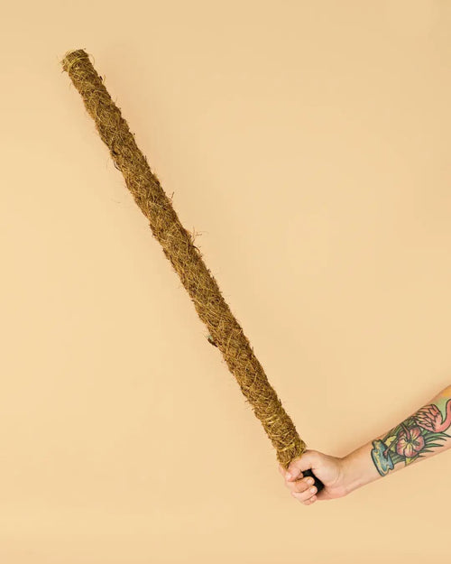 Tutor Fibra de Coco 75 cm - Pur Plant