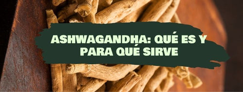 Ashwagandha: O Que É e Para Que Serve