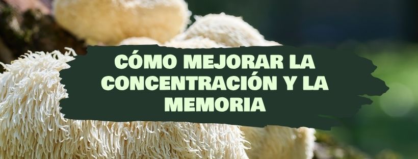 Cómo Mejorar La Concentración Y La Memoria