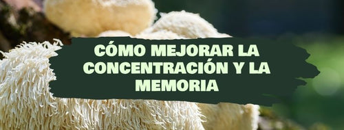 Cómo Mejorar La Concentración Y La Memoria