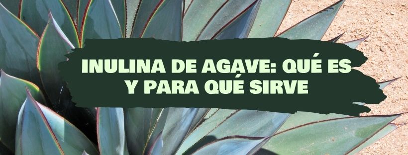 Inulina de Agave: O Que É e Para Que Serve