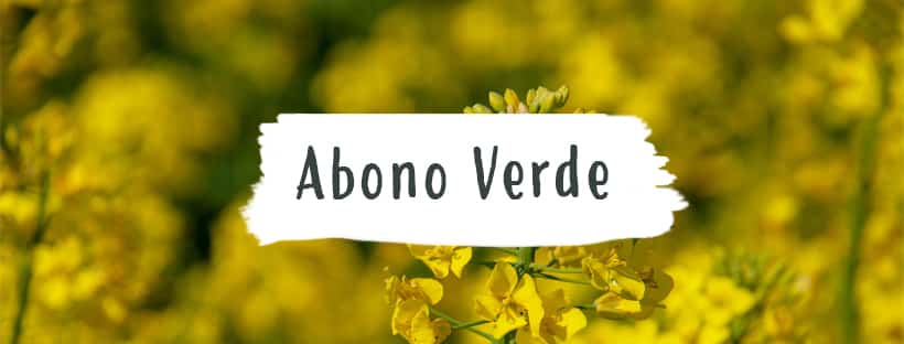 Adubo Verde: O Que É E Para Que É Utilizado?