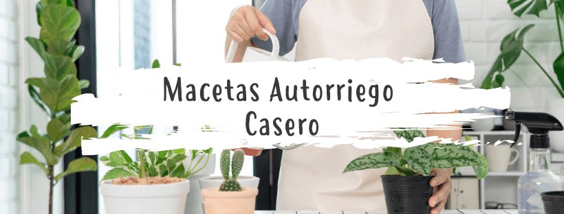 Autorrega Em Vasos Caseira Passo A Passo