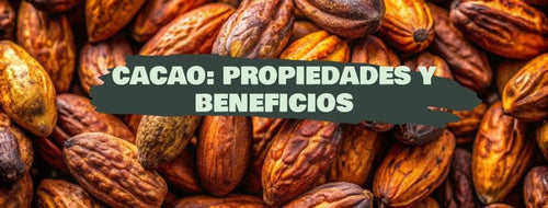Cacau: Propriedades e Benefícios