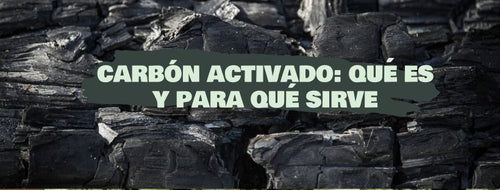Carvão Ativado: O Que É E Para Que Serve