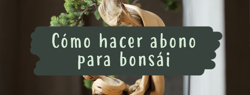 Como Fazer Adubo Para Bonsai